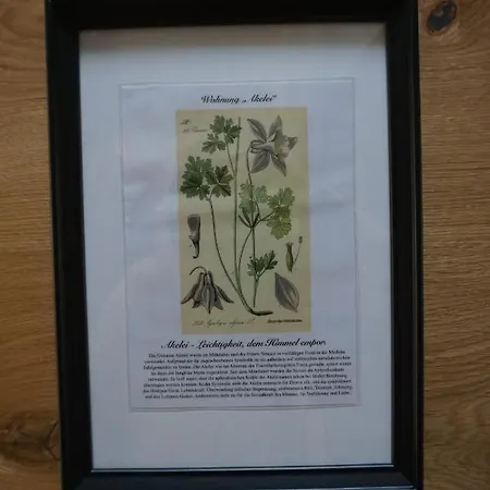 Lejlighed Alte Brennerei Schloss Zehista Og Akelei